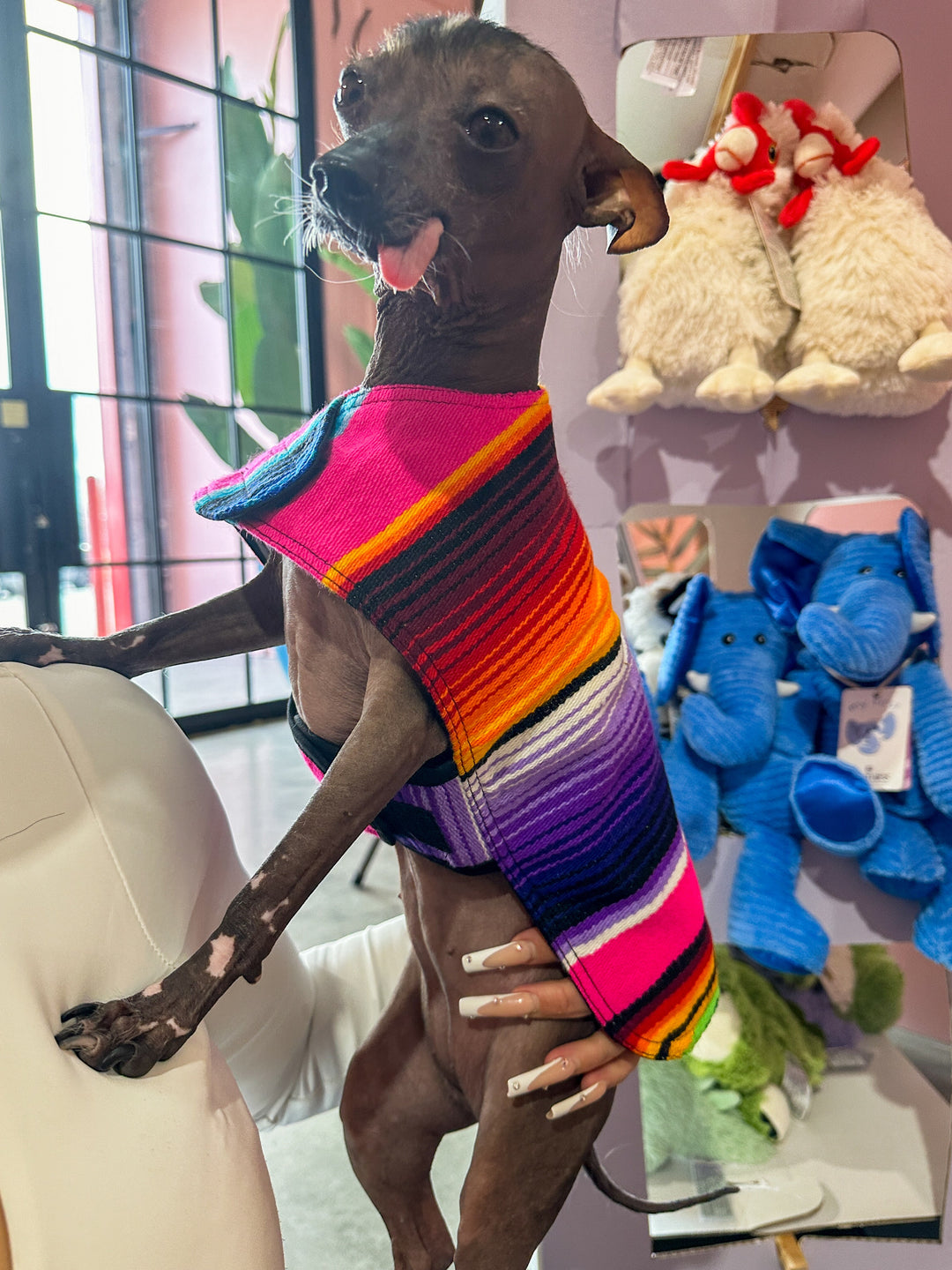 Baja Ponchos - Dog Poncho From Mexican Serape Blanket - Pink