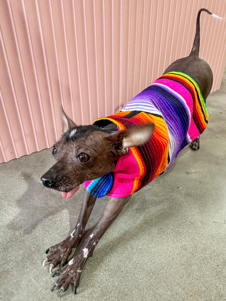 Baja Ponchos - Dog Poncho From Mexican Serape Blanket - Pink