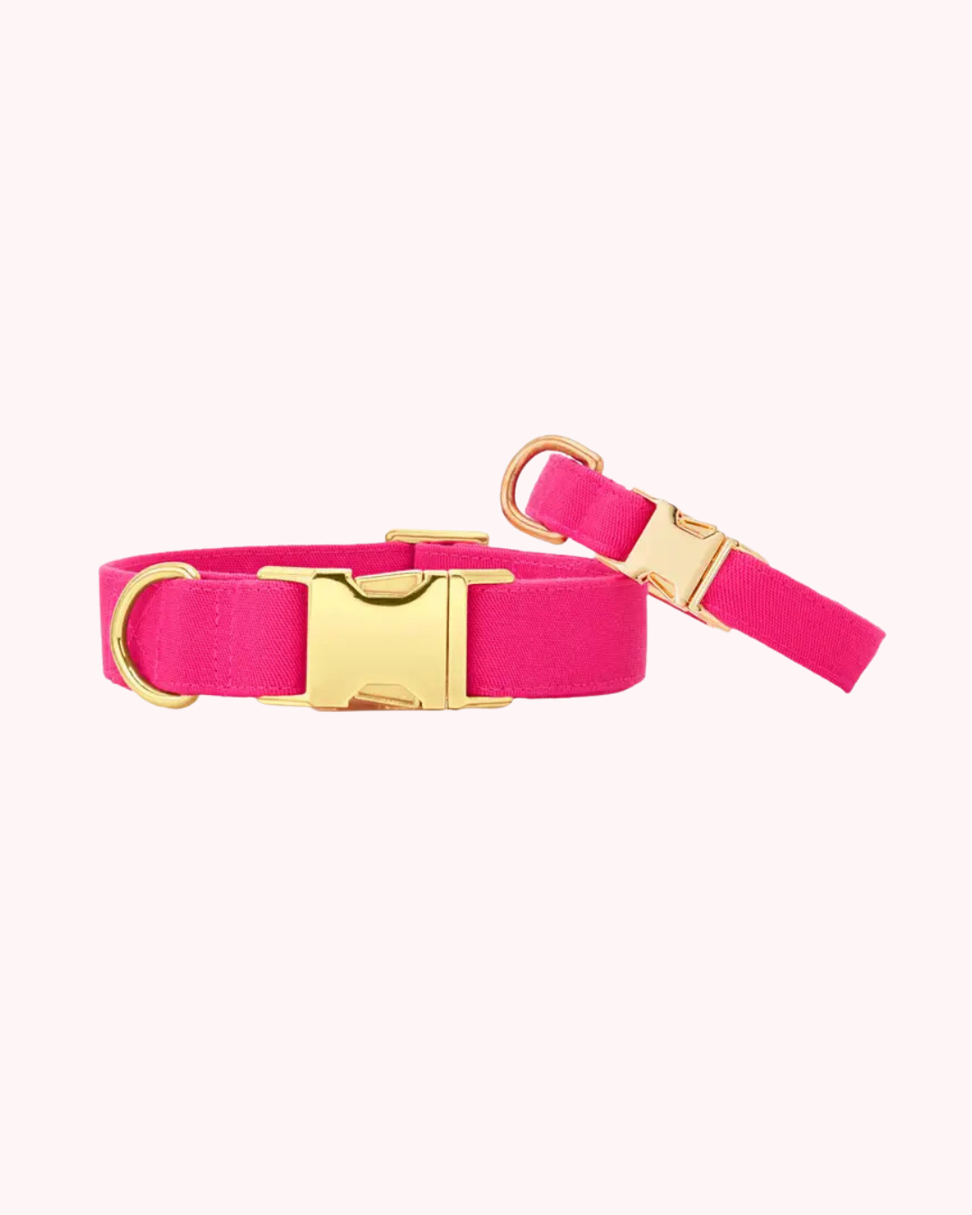 The Foggy Dog - Hot Pink Dog Collar