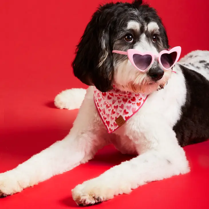 The Foggy Dog - Heart Throb Valentine's Day Dog Bandana