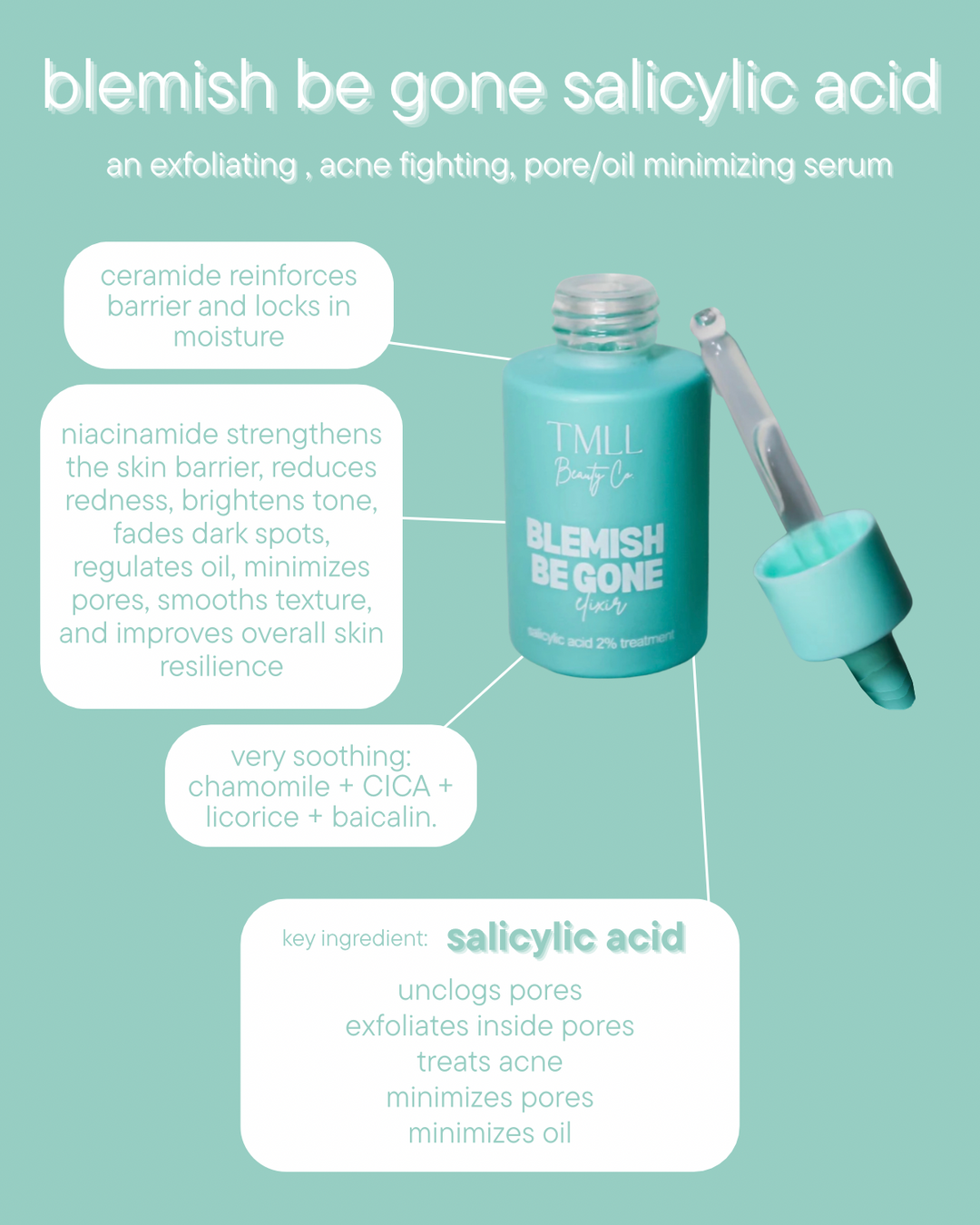 TMLL Beauty Co. - TMLL Skin Candy Blemish Be Gone Salicylic Acid Serum