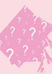 Makeup Junkie Bags - Mystery 4-Piece Travel Set