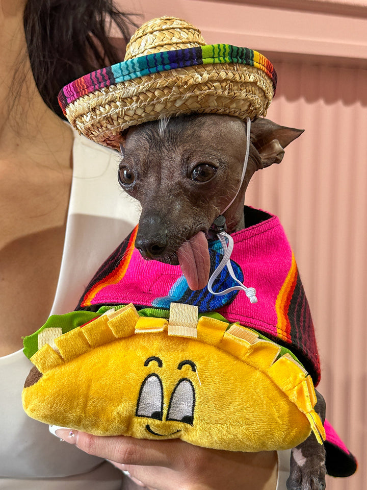 Baja Ponchos - Dog Sombrero and Taco Plush Pack