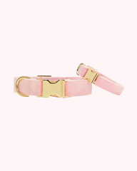 The Foggy Dog - Blush Pink Velvet Dog Collar