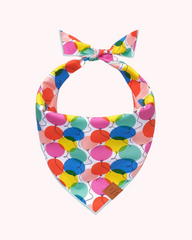 The Foggy Dog - Pup, Pup, and Away Birthday Dog Bandana