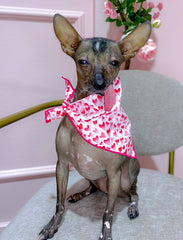 The Foggy Dog - Heart Throb Valentine's Day Dog Bandana