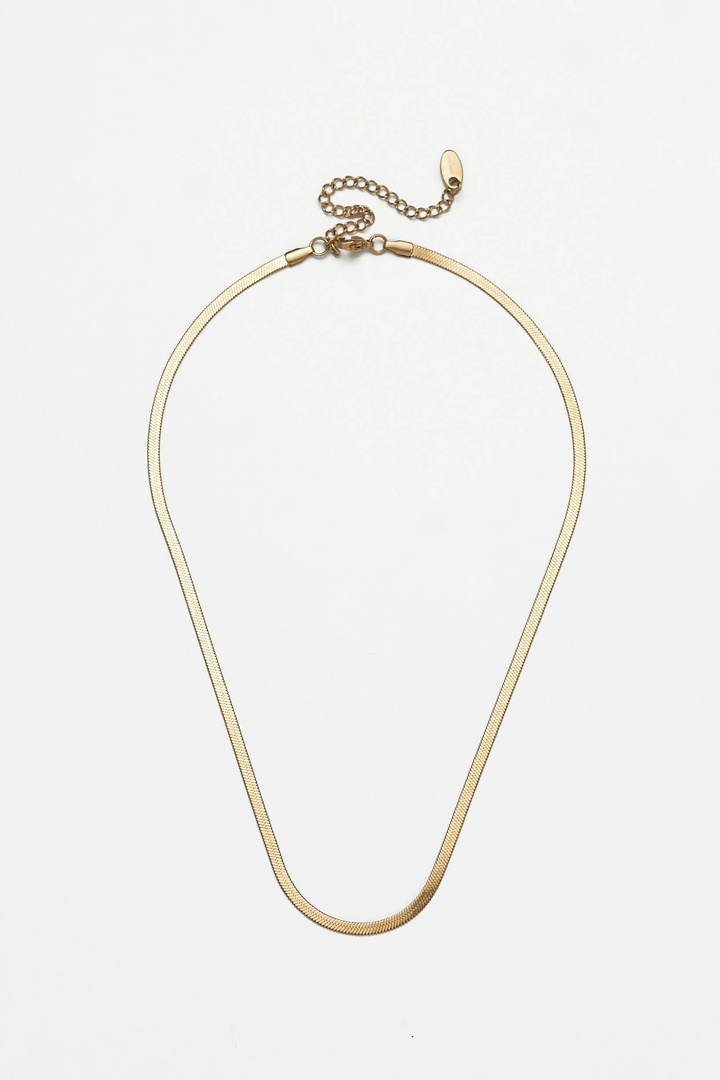 Brenda Grands Jewelry - Dainty Herringbone Necklace