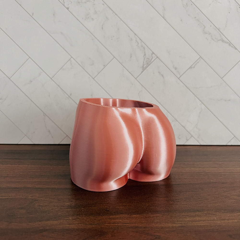 Peachy Pilea - 4 inch Mini Just Peachy Planter + Drainage Tray - Rose
