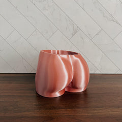 Peachy Pilea - 4 inch Mini Just Peachy Planter + Drainage Tray - Rose