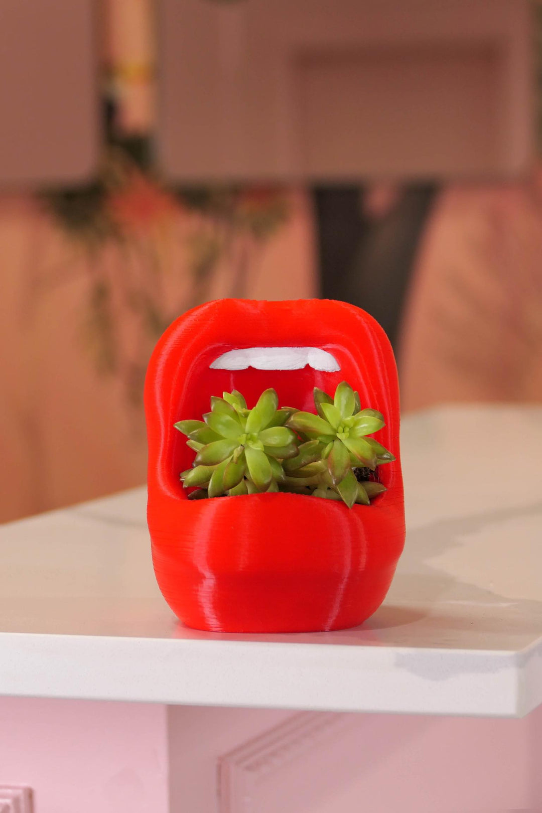 lips plant pot Peachy Pilea - 4 inch Vintage Lips Planter