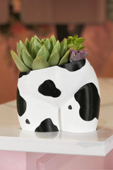 Peachy Pilea - 5 inch Peachy Planter + Drainage Tray - Oat Milk