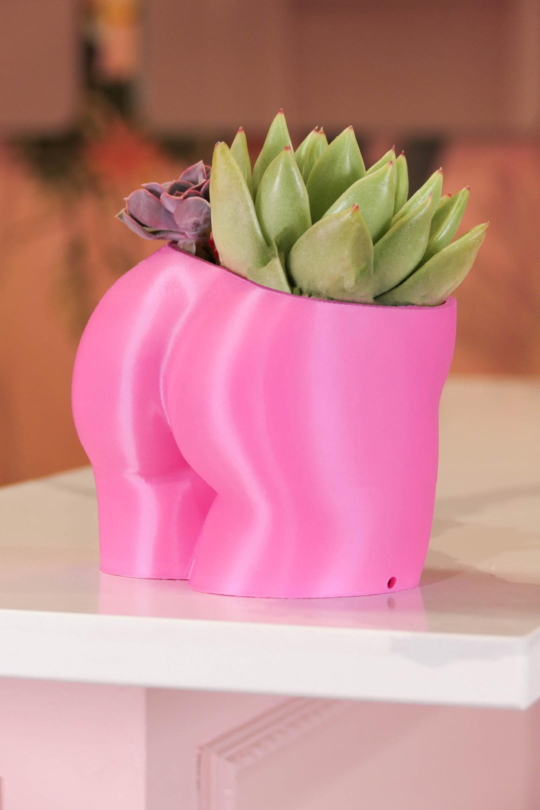 butt plant pot Peachy Pilea - 5 inch Peachy Planter + Drainage Tray