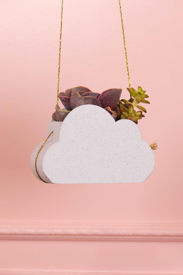 Peachy Pilea - 4 inch Hanging Cloud 9 Planter - White Marble