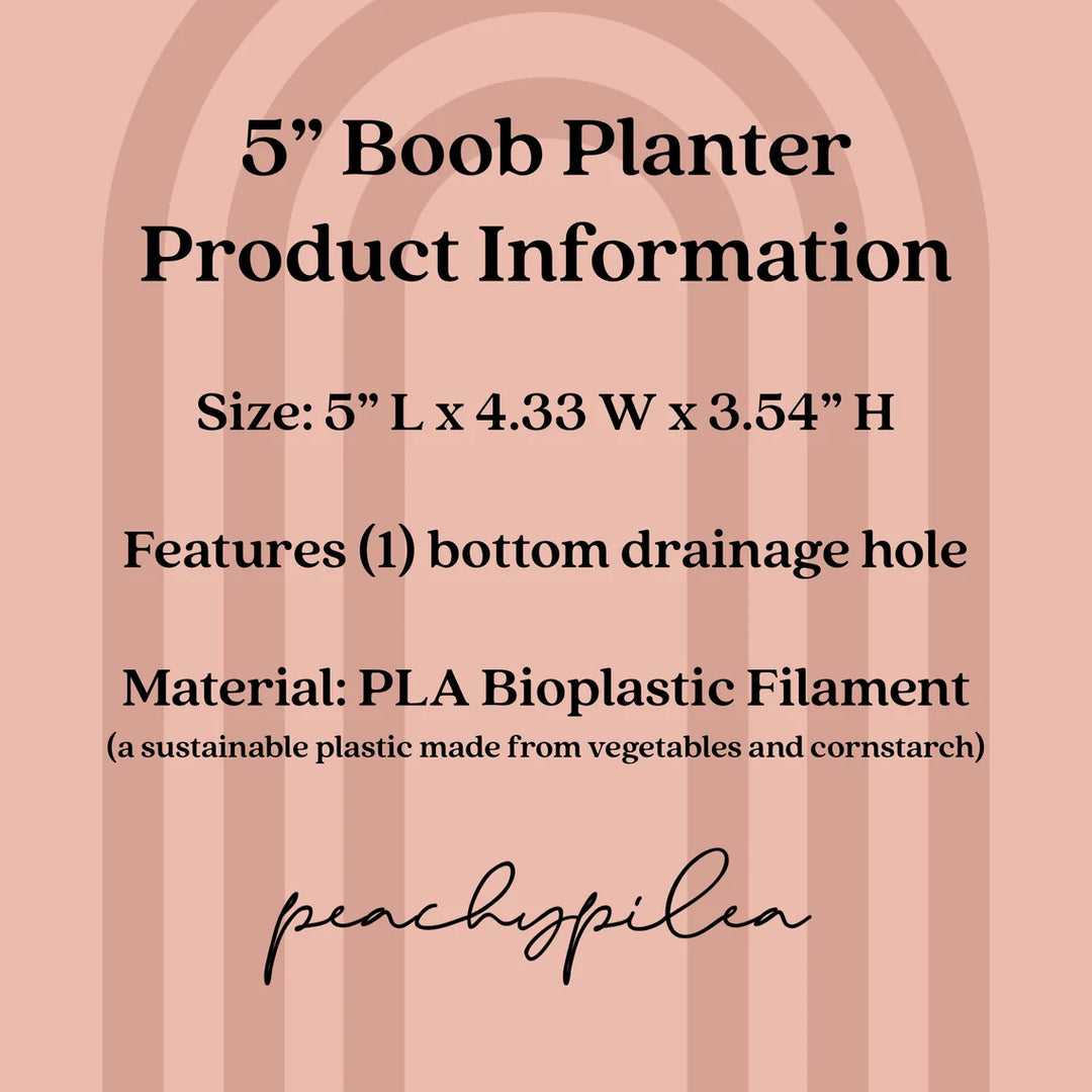 Peachy Pilea - 5 inch Boob Planter + Drainage Tray - Sakura Pink