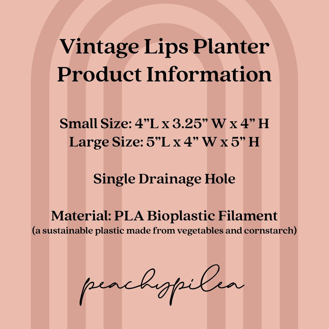 Peachy Pilea - 4 inch Vintage Lips Planter - Strawberry Red