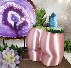 Peachy Pilea - 5 inch Peachy Planter + Drainage Tray - Rose