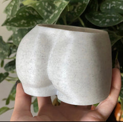 Peachy Pilea - 4 inch Mini Just Peachy Planter + Drainage Tray - White Marble