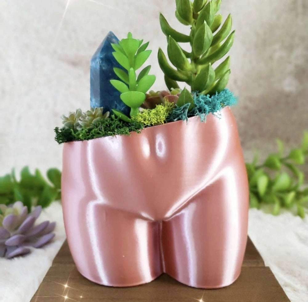 booty pot plant Peachy Pilea - 5 Inch Peachy Planter + Drainage Tray