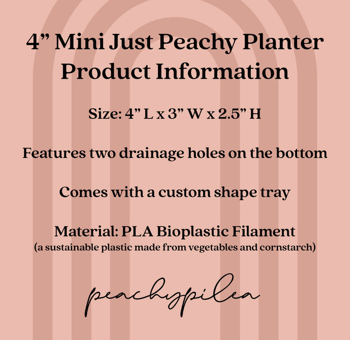 Peachy Pilea - 4 inch Mini Just Peachy Planter + Drainage Tray - Rose